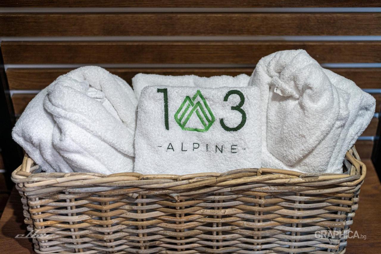 103 Alpine Hotel Panicsiste Kültér fotó
